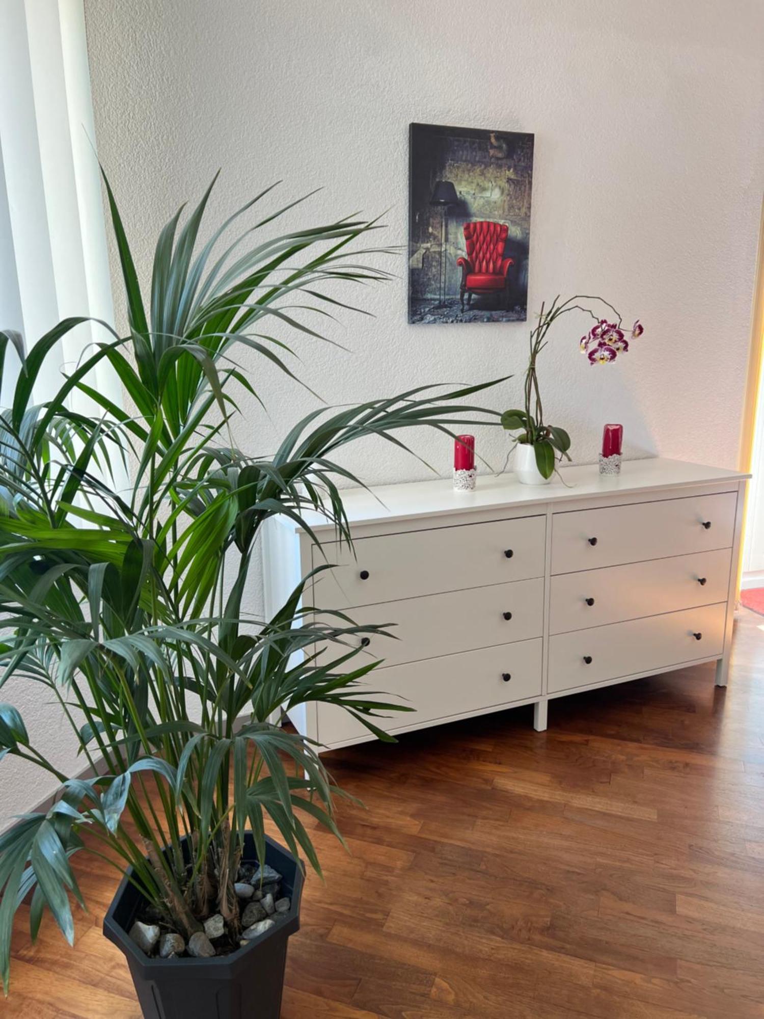 Apartment Peter إنترلاكن المظهر الخارجي الصورة